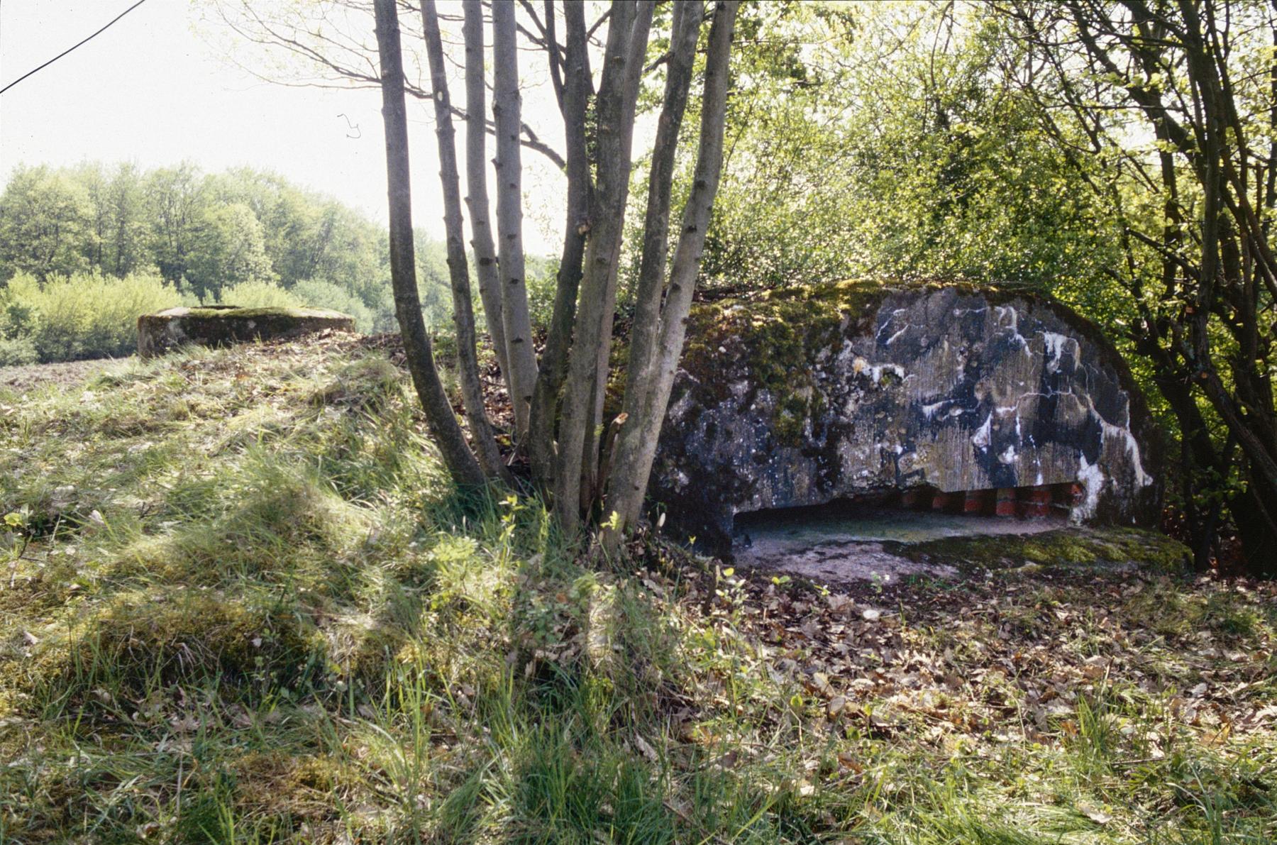Ligne Maginot - PFAFFENBUSCH 1 - (Observatoire d'infanterie) -  - MANSUY Michel