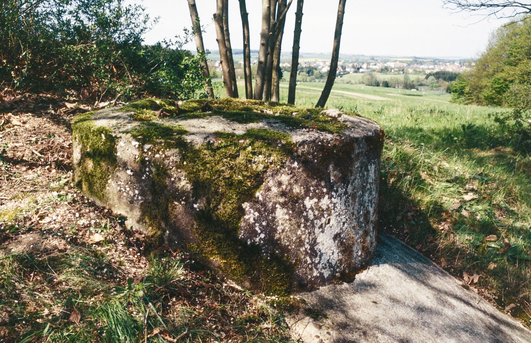 Ligne Maginot - PFAFFENBUSCH 1 - (Observatoire d'infanterie) - La base de la guérite - MANSUY Michel