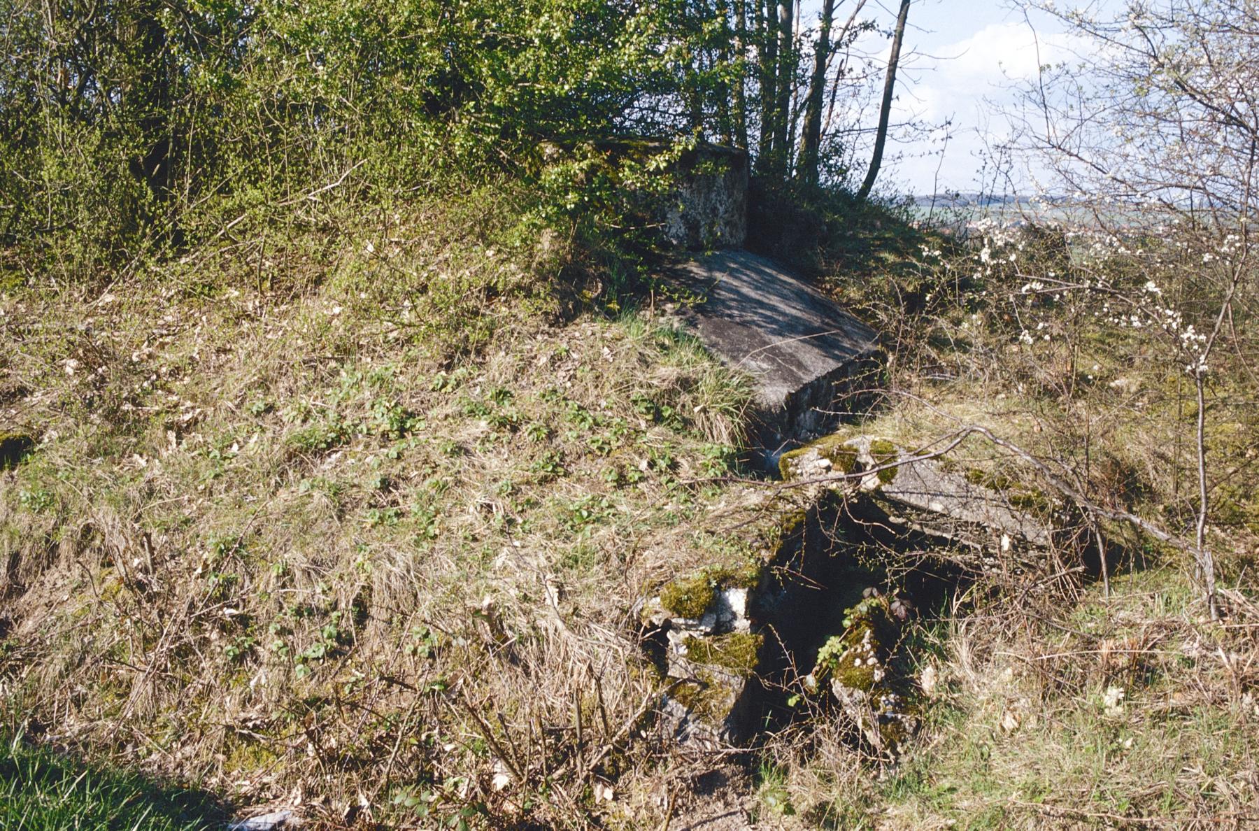 Ligne Maginot - PFAFFENBUSCH 1 - (Observatoire d'infanterie) - L'entrée et la base de la guérite - MANSUY Michel