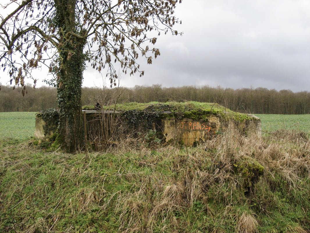 Ligne Maginot - 14A - FERME DE BLANCHAMPAGNE - (Blockhaus pour arme infanterie) - Face frontale - R Tucker
