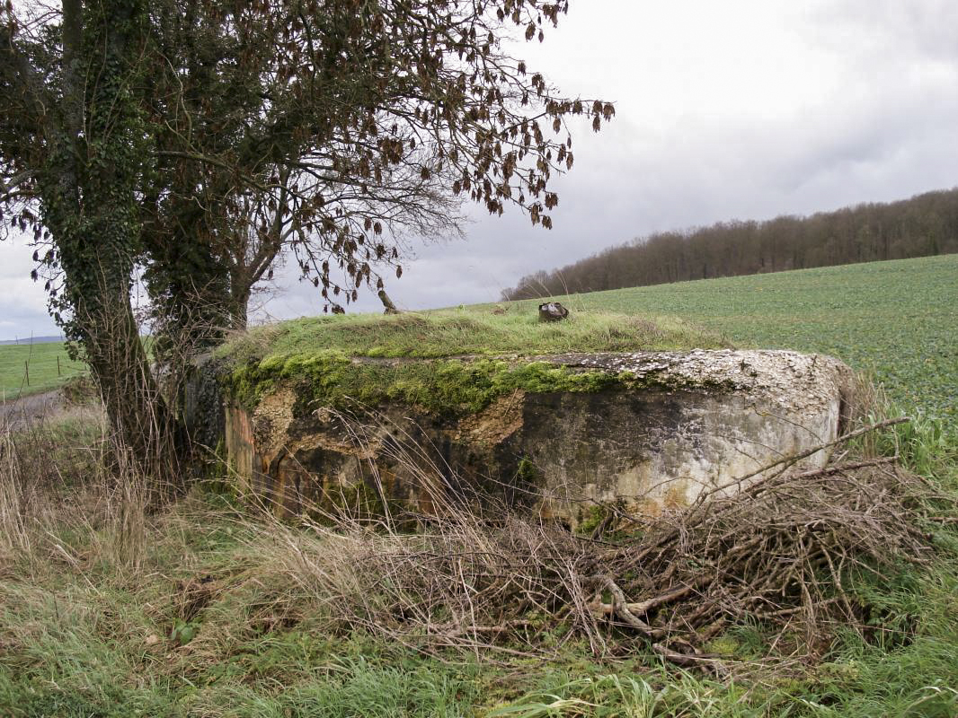 Ligne Maginot - 14A - FERME DE BLANCHAMPAGNE - (Blockhaus pour arme infanterie) - Coté gauche, pris de l'ouest - R Tucker