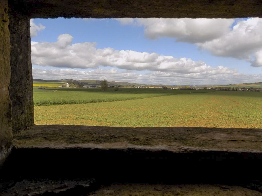 Ligne Maginot - 14C - FOND D'YVAUX OUEST - (Blockhaus pour arme infanterie) - Vue du créneau Hotchkiss gauche vers le nord-ouest - R Tucker
