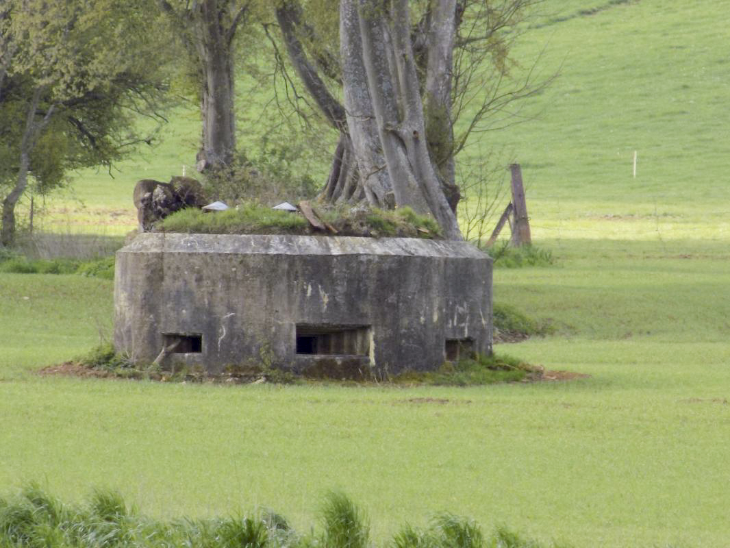 Ligne Maginot - 15C - FOND D'YVAUX EST - (Blockhaus pour arme infanterie) - Pris du nord-est - R Tucker