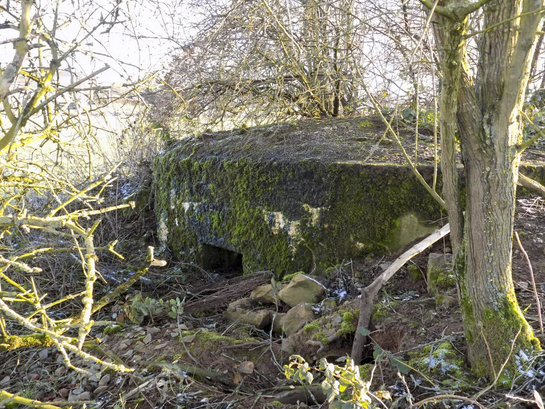 Ligne Maginot - 21 - MAIRY OUEST - (Blockhaus pour canon) - Face nord ouest - R Tucker