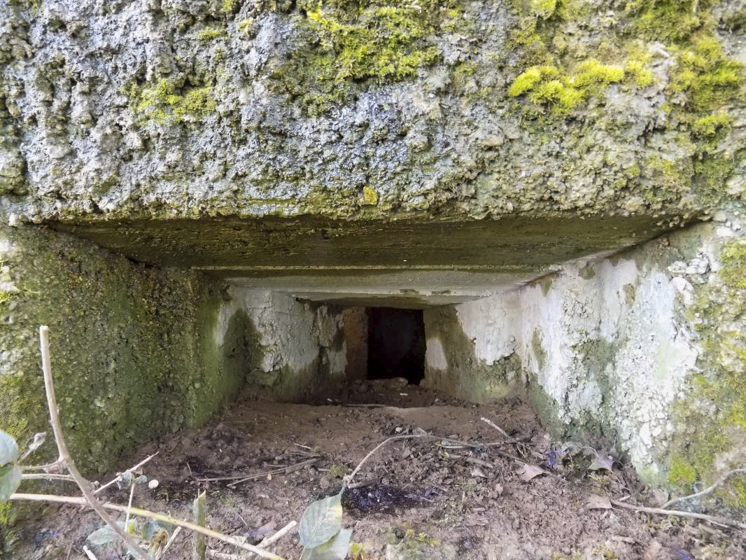 Ligne Maginot - 21 - MAIRY OUEST - (Blockhaus pour canon) - Créneau, face nord ouest - R Tucker
