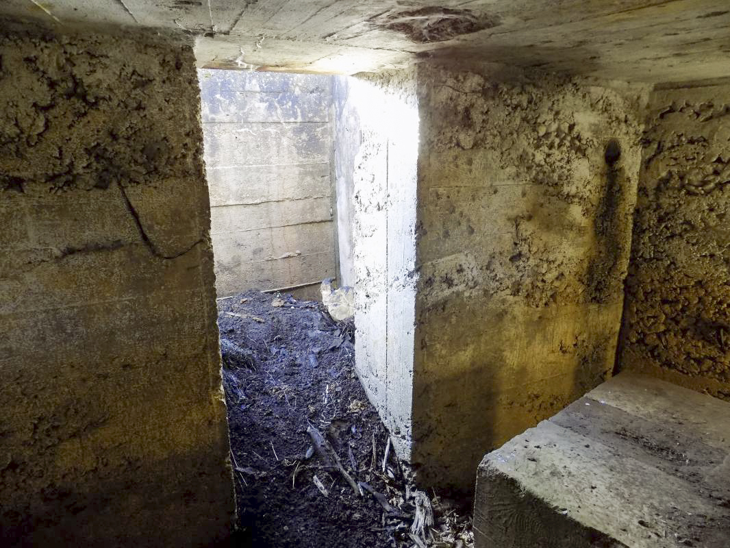 Ligne Maginot - 22BIS - BREVILLY NORD-OUEST - (Blockhaus pour arme infanterie) - L'entrée - R Tucker