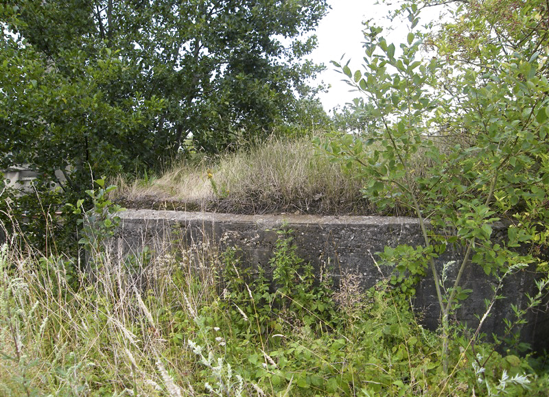 Ligne Maginot - 23A - FORGES DE BREVILLY - (Blockhaus pour arme infanterie) -  - Jean-Louis AUBLET & Sylvie MAINGUIN 