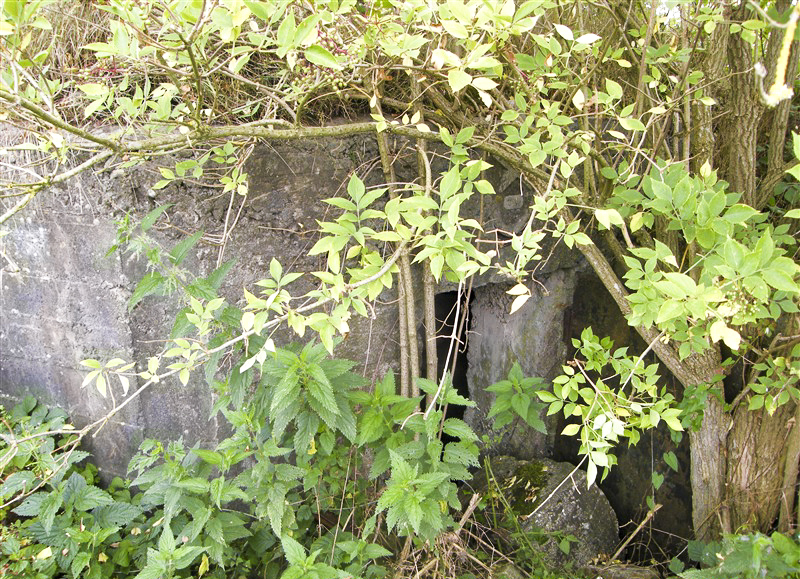 Ligne Maginot - 23A - FORGES DE BREVILLY - (Blockhaus pour arme infanterie) -  - Jean-Louis AUBLET & Sylvie MAINGUIN 