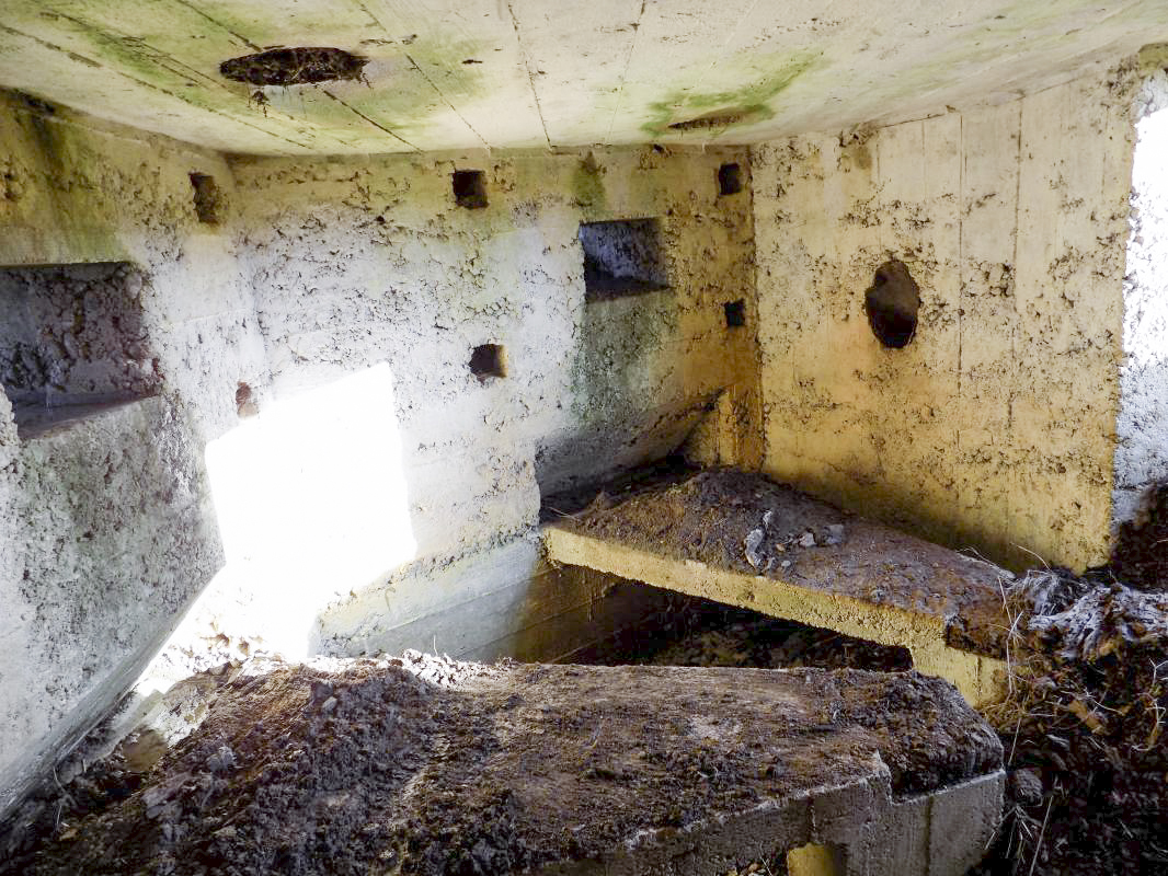 Ligne Maginot - 24B - LA HOUILLERIE - (Blockhaus pour arme infanterie) - Les deux créneaux Hotchkiss - R Tucker