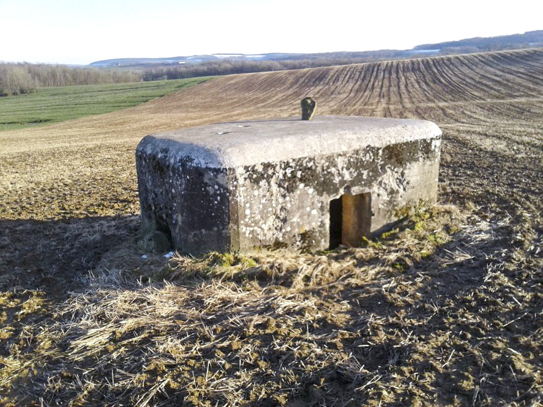 Ligne Maginot - 25B - BULTY SUD - (Blockhaus pour arme infanterie) -  - F.THOMASSIN
