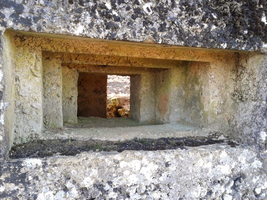 Ligne Maginot - 25B - BULTY SUD - (Blockhaus pour arme infanterie) -  - F.THOMASSIN