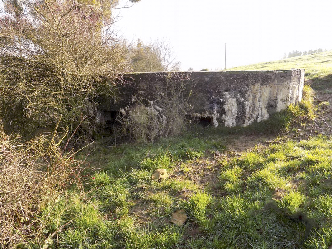 Ligne Maginot - 26A - VIGNEULLE - (Blockhaus pour arme infanterie) - Face frontale - R Tucker