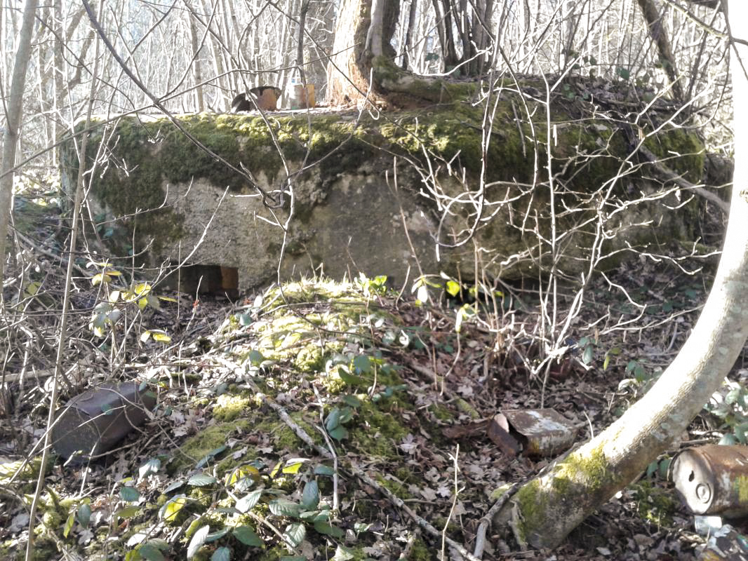 Ligne Maginot - 26B - BOIS DE LA MANSEAU - (Blockhaus pour arme infanterie) - Vue extérieure des deux créneaux pour mitrailleuses. - F.THOMASSIN