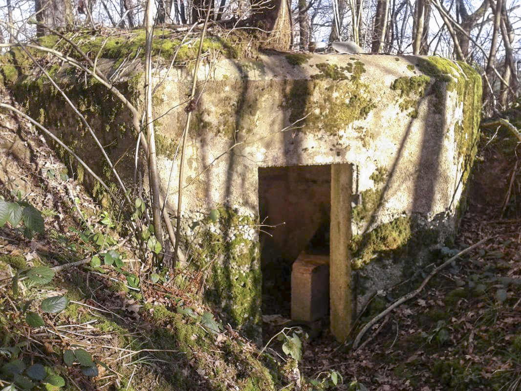 Ligne Maginot - 26B - BOIS DE LA MANSEAU - (Blockhaus pour arme infanterie) - L'entrée, raccordée à une tranchée d'accès encore bien marquée. - F.THOMASSIN