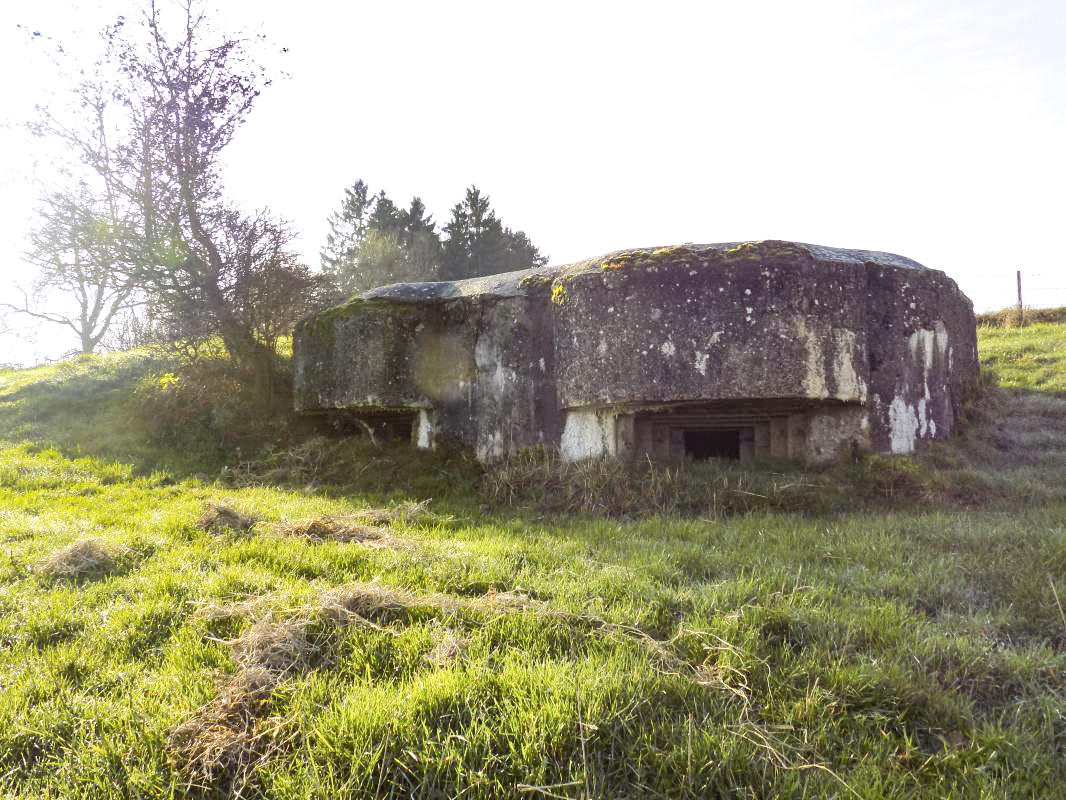 Ligne Maginot - 26D - GRAND HOUBLON - (Blockhaus pour canon) -  - R Tucker