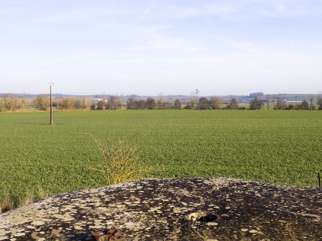 Ligne Maginot - 26D - GRAND HOUBLON - (Blockhaus pour canon) - Vue vers le nord est, direction de tir - R Tucker
