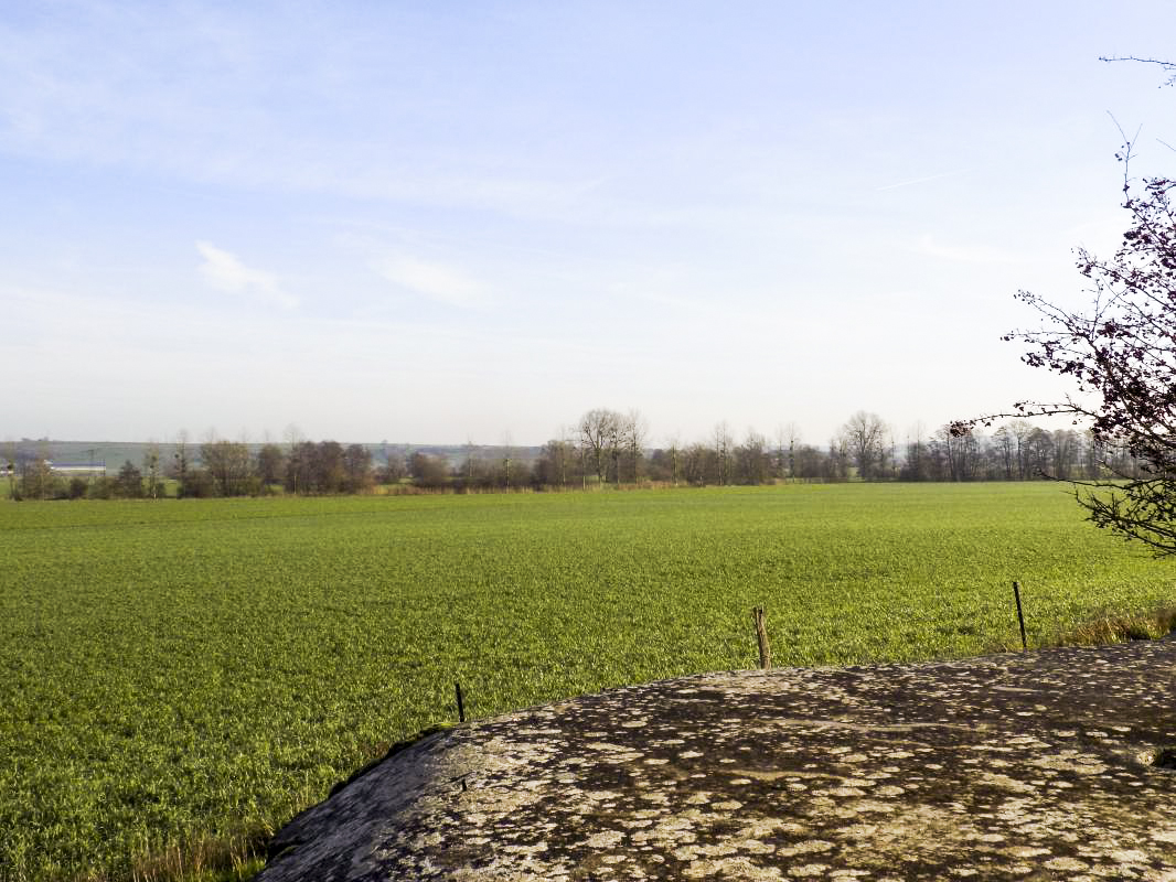 Ligne Maginot - 26D - GRAND HOUBLON - (Blockhaus pour canon) - Vue vers le sud est, direction de tir - R Tucker