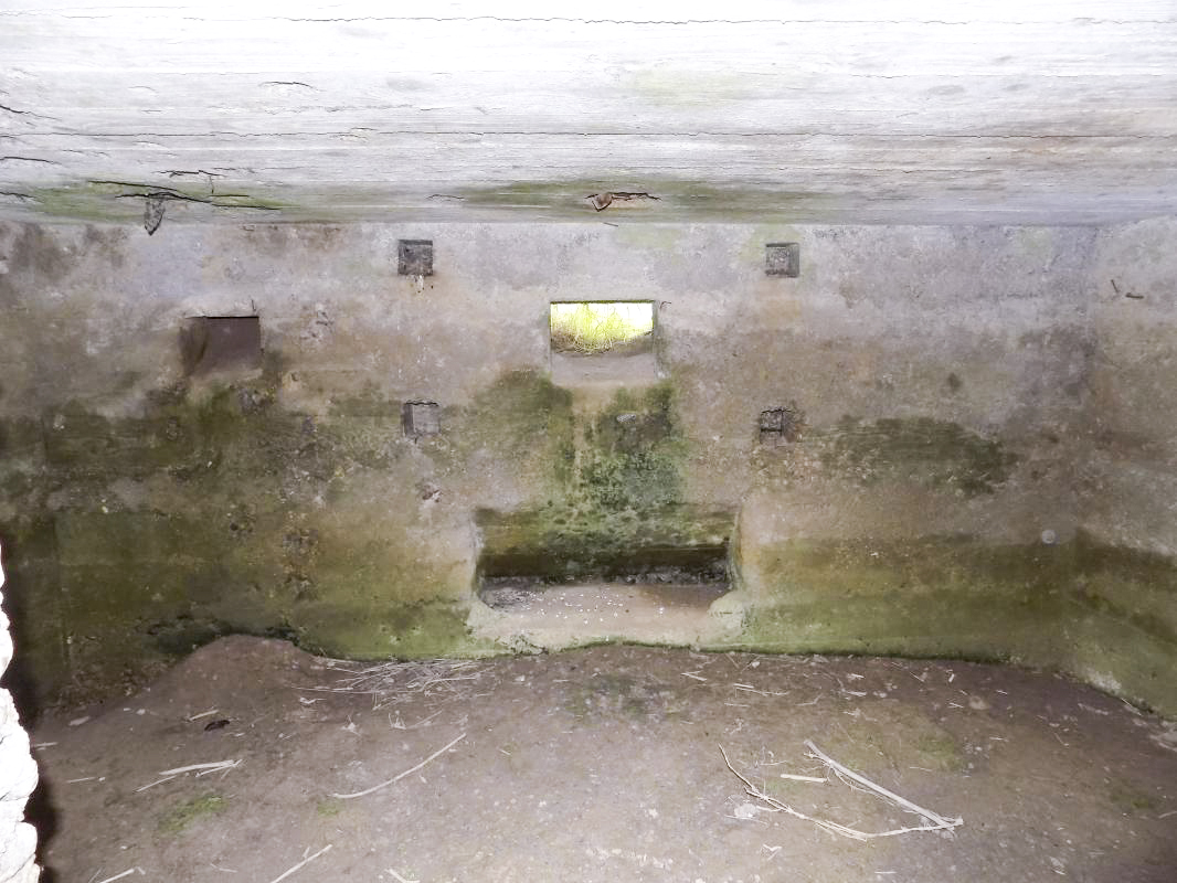 Ligne Maginot - 28 - FOND DE TURGEON - (Blockhaus pour arme infanterie) - Vue de l'entrée, créneau FM à gauche, créneau Hotchkiss à droite - R Tucker
