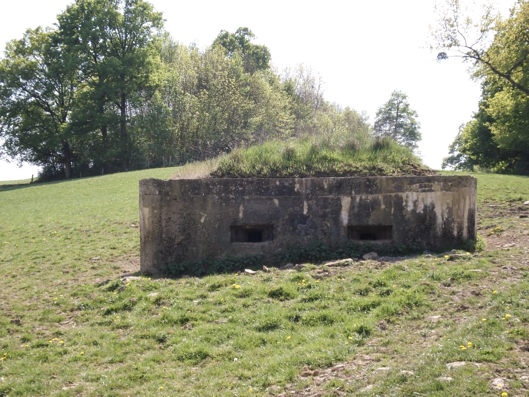 Ligne Maginot - 29A - LES BAUCHES SUD - (Blockhaus pour arme infanterie) -  - R Tucker