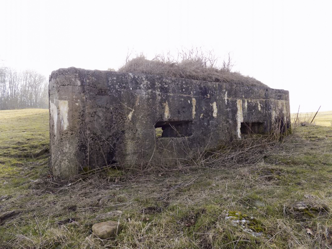 Ligne Maginot - 29A - LES BAUCHES SUD - (Blockhaus pour arme infanterie) - Face frontale - R Tucker