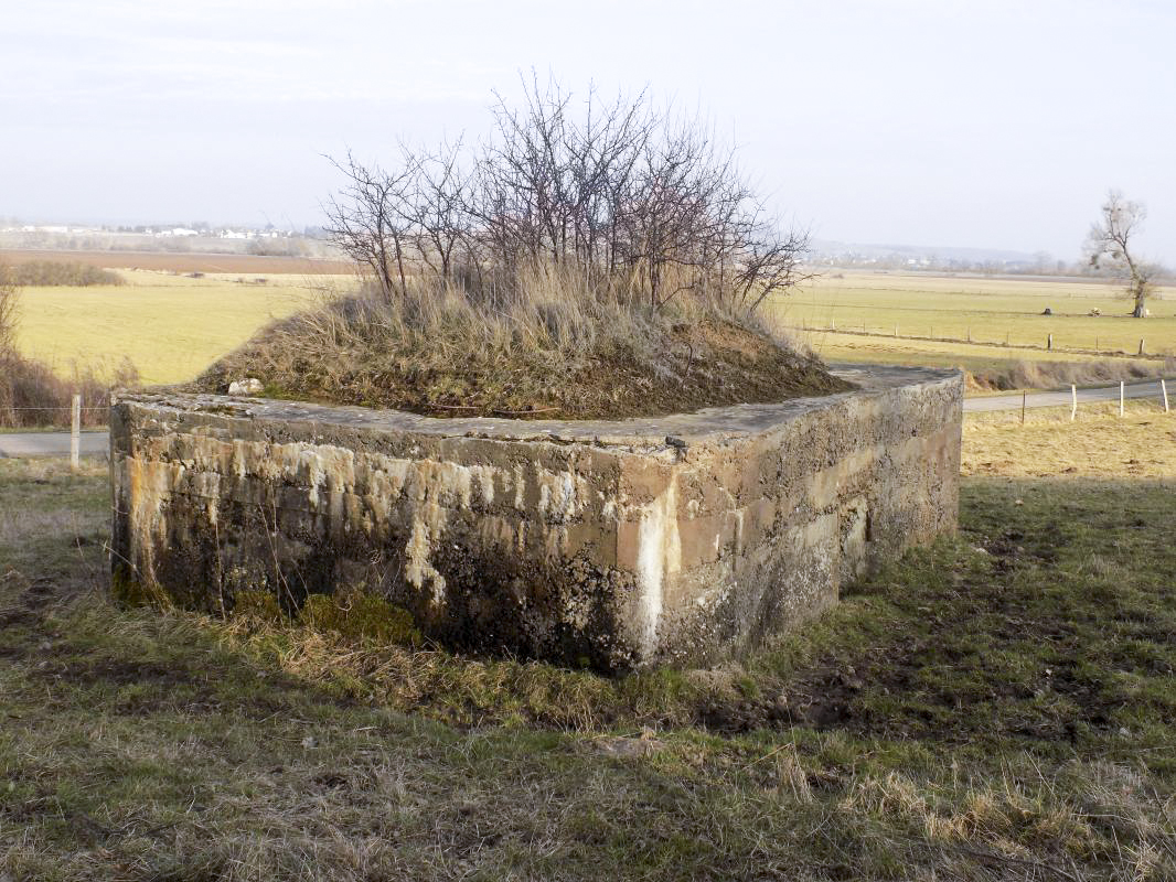 Ligne Maginot - 29A - LES BAUCHES SUD - (Blockhaus pour arme infanterie) - Face gauche - R Tucker