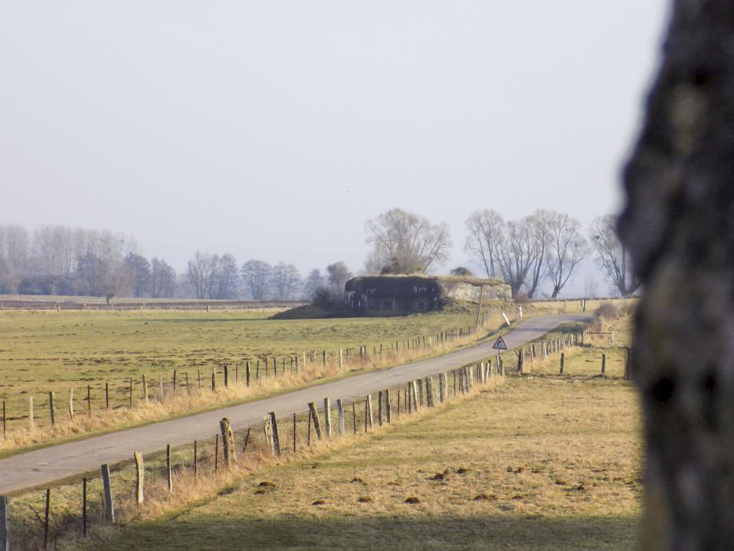 Ligne Maginot - 29A - LES BAUCHES SUD - (Blockhaus pour arme infanterie) - Vue vers le sud-est, A97 - R Tucker
