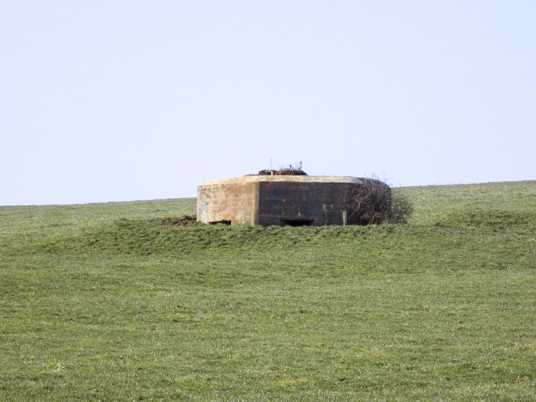 Ligne Maginot - 29B - TRUC DES CHANVRES - (Blockhaus pour canon) - Face frontale - R Tucker