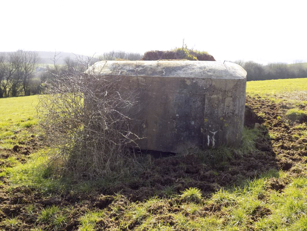 Ligne Maginot - 29B - TRUC DES CHANVRES - (Blockhaus pour canon) - Face gauche - R Tucker