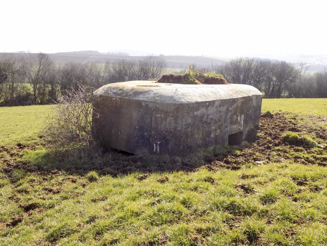 Ligne Maginot - 29B - TRUC DES CHANVRES - (Blockhaus pour canon) - Faces gauche / l'arrière - R Tucker