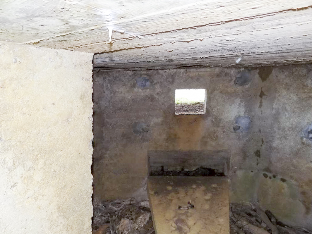 Ligne Maginot - 29B - TRUC DES CHANVRES - (Blockhaus pour canon) - Créneau Hotchkiss vers le nord-ouest - R Tucker