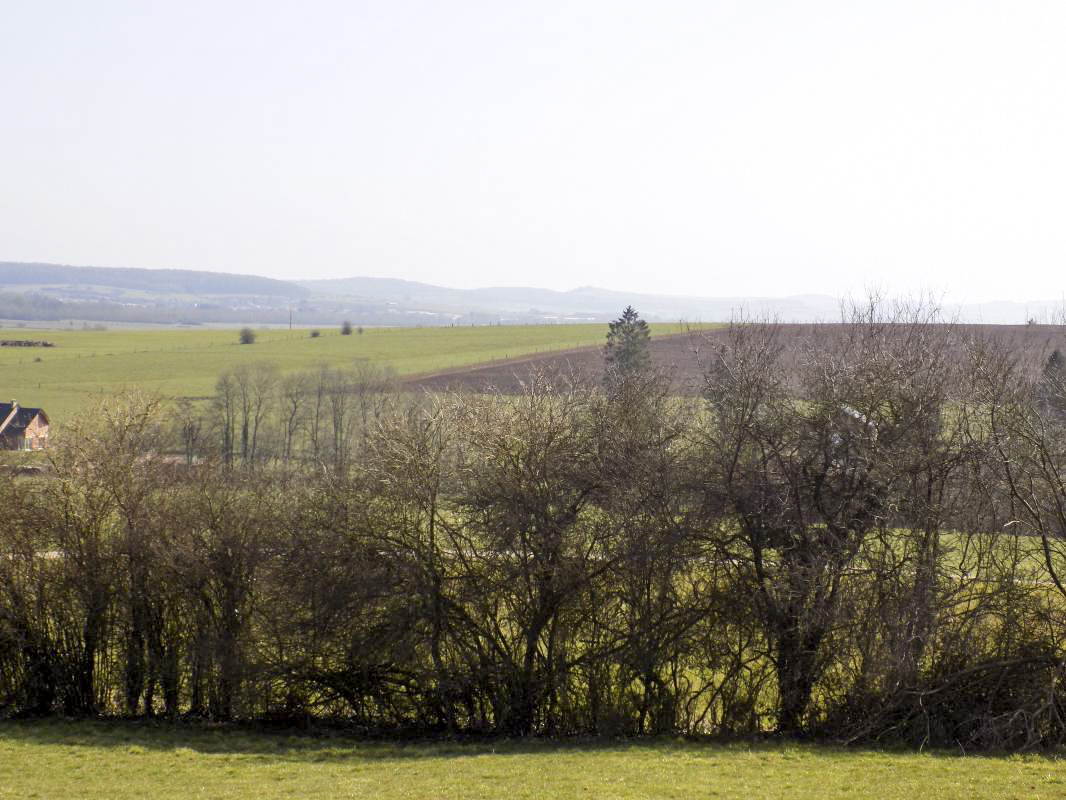 Ligne Maginot - 29B - TRUC DES CHANVRES - (Blockhaus pour canon) - Vue vers le nord-est - R Tucker