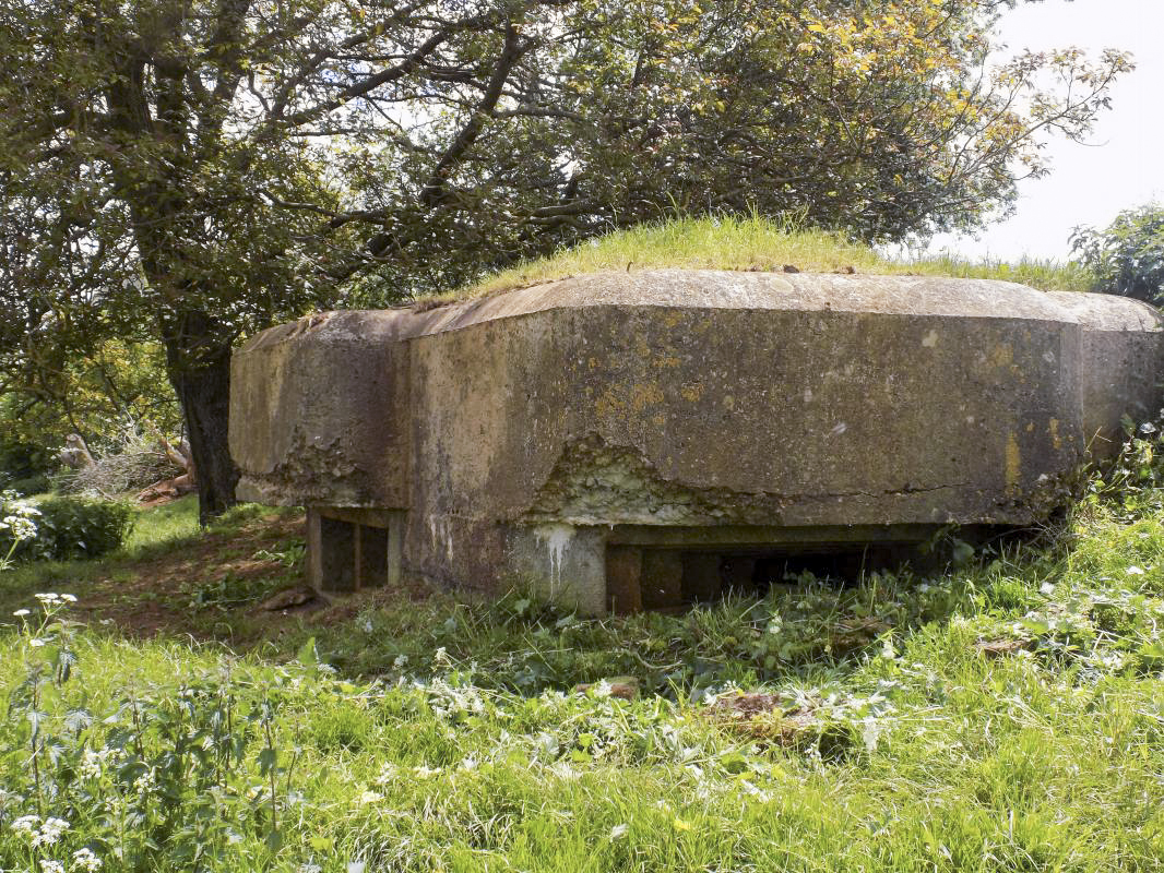 Ligne Maginot - 29C - EUILLY NORD - (Blockhaus pour arme infanterie) - Faces frontale et gauche - R Tucker