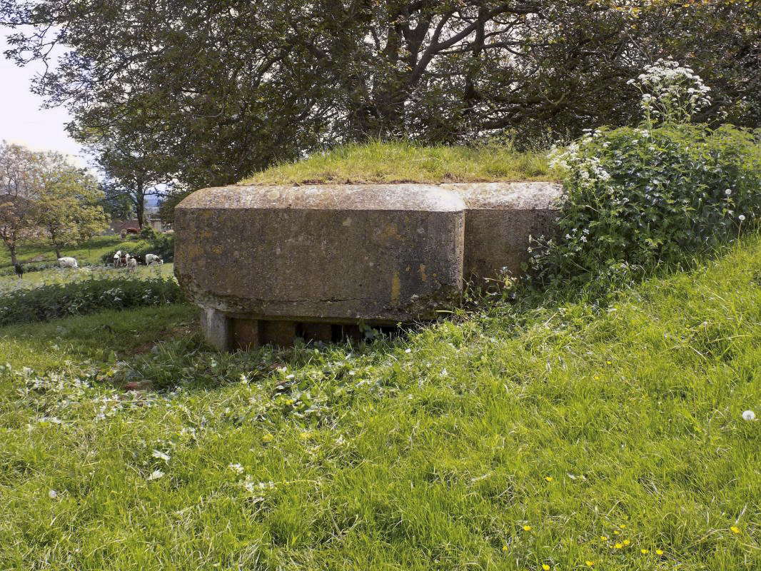 Ligne Maginot - 29C - EUILLY NORD - (Blockhaus pour arme infanterie) - Face gauche - R Tucker