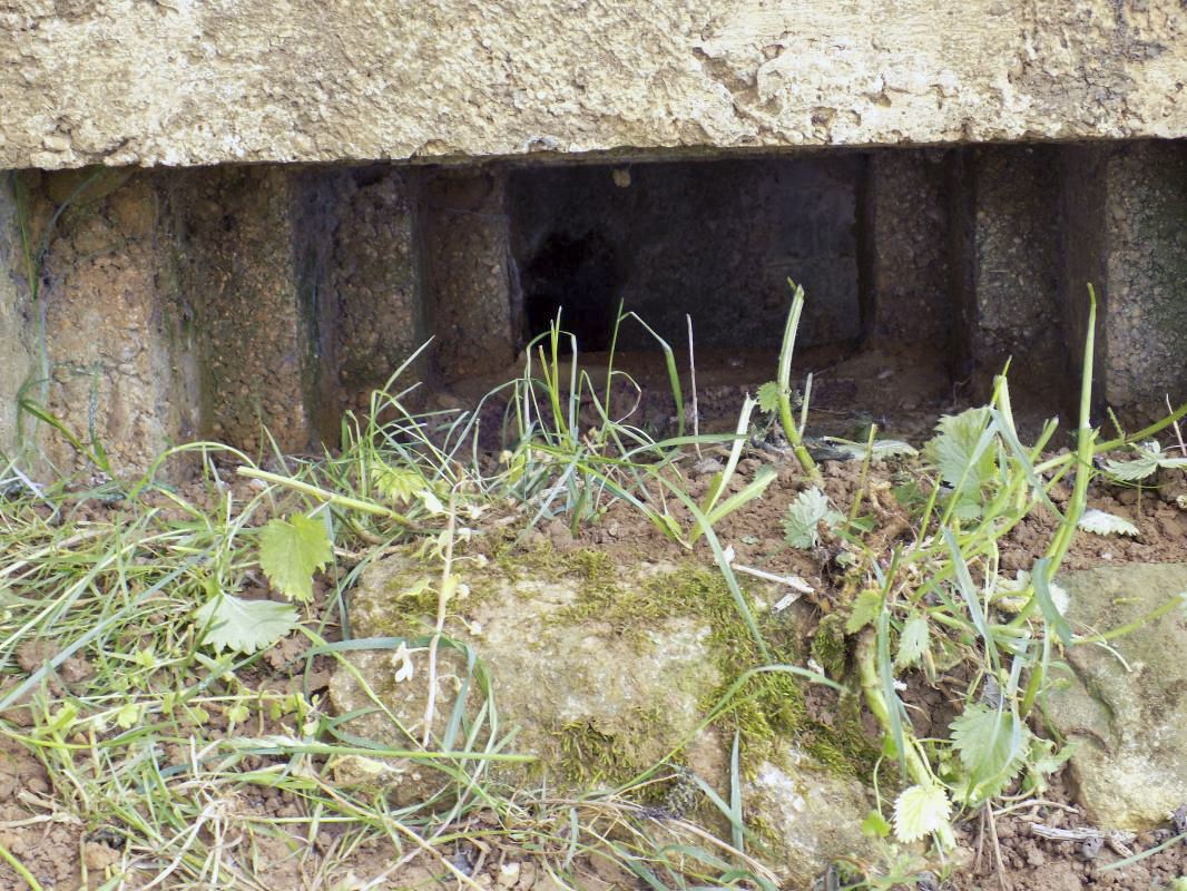 Ligne Maginot - 29C - EUILLY NORD - (Blockhaus pour arme infanterie) - Créneau FM/Obs, face droite - R Tucker