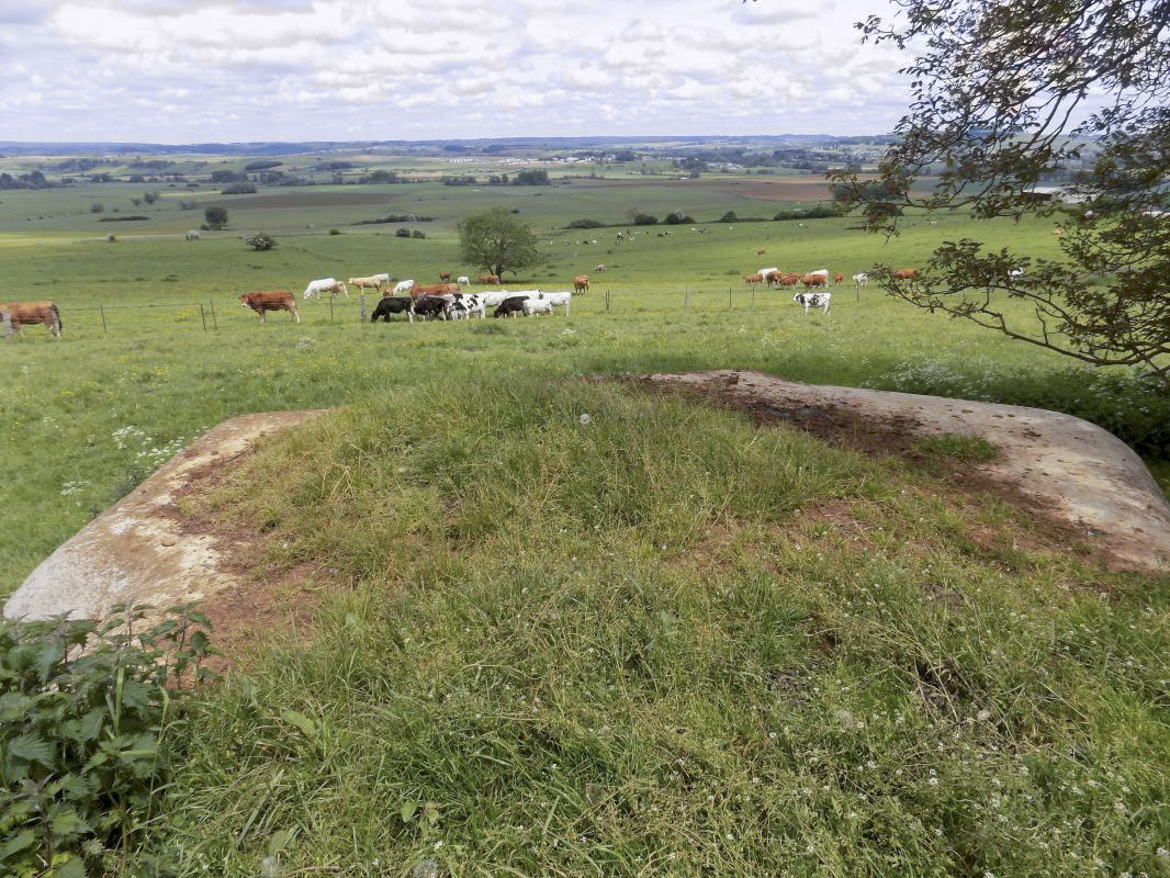 Ligne Maginot - 29C - EUILLY NORD - (Blockhaus pour arme infanterie) - Vue vers le nord-est - R Tucker