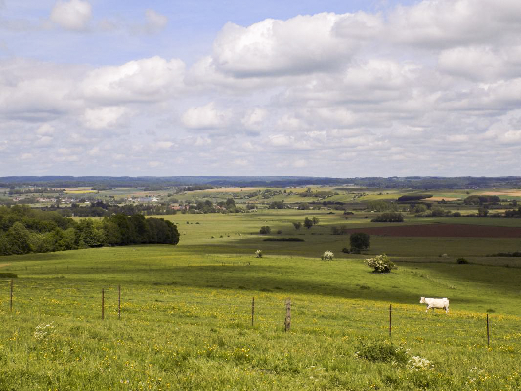 Ligne Maginot - 29C - EUILLY NORD - (Blockhaus pour arme infanterie) - Vue vers le nord - R Tucker