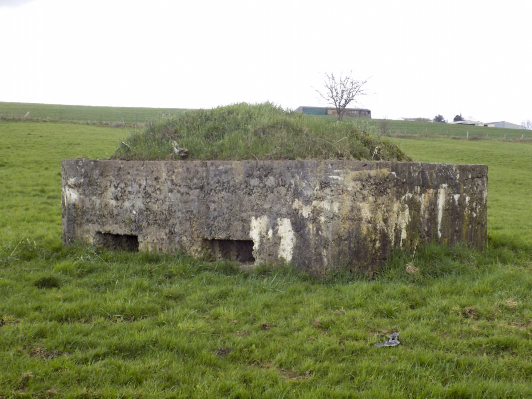 Ligne Maginot - 30 - L'EPINETTE SUD - (Blockhaus pour arme infanterie) - Faces frontale et gauche - R Tucker