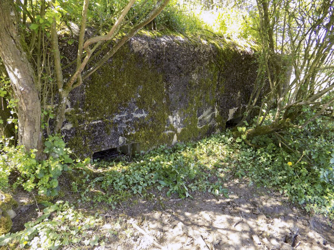 Ligne Maginot - 31TER - FOND DE LA CHAUSSEE EST - (Blockhaus pour canon) - Face frontale - R Tucker