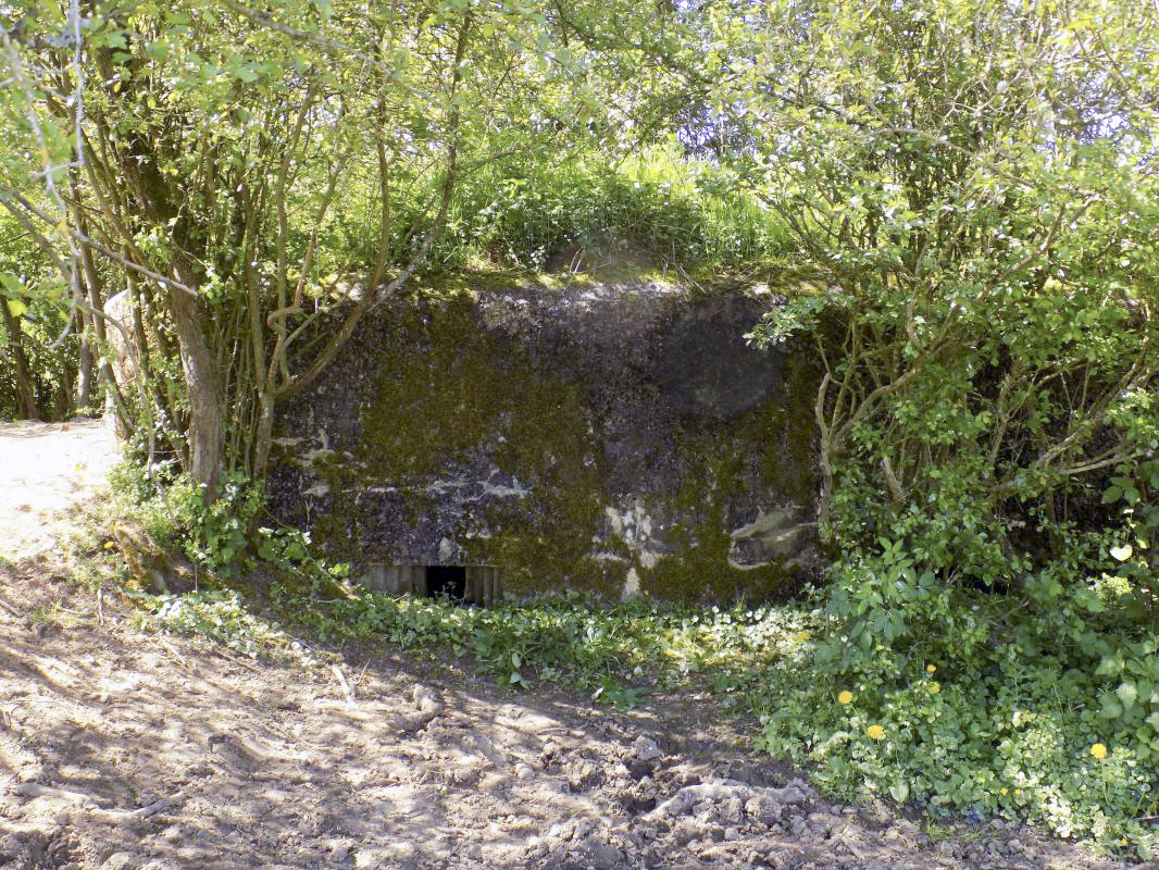 Ligne Maginot - 31TER - FOND DE LA CHAUSSEE EST - (Blockhaus pour canon) - Face frontale - R Tucker