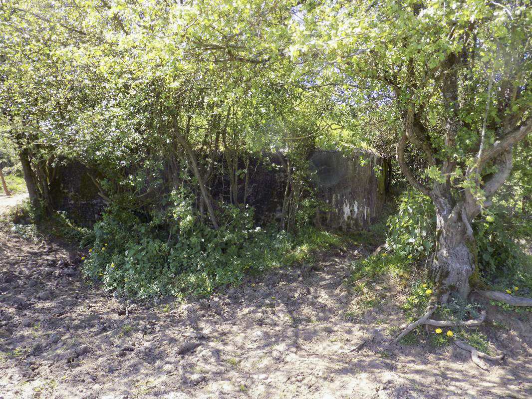 Ligne Maginot - 31TER - FOND DE LA CHAUSSEE EST - (Blockhaus pour canon) - Face frontale - R Tucker