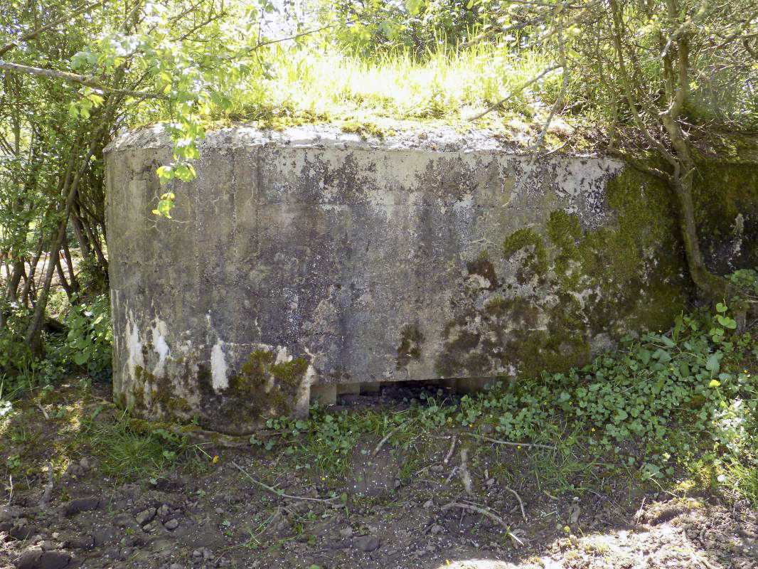 Ligne Maginot - 31TER - FOND DE LA CHAUSSEE EST - (Blockhaus pour canon) - Face gauche - R Tucker