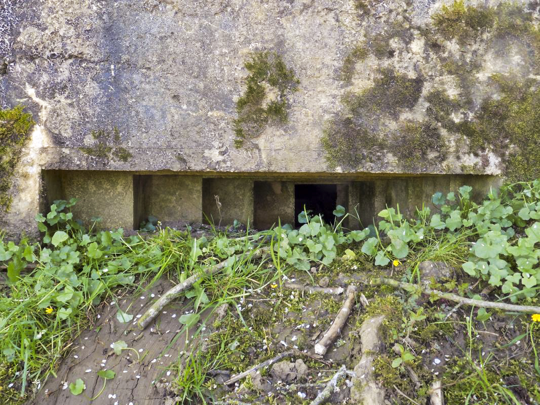 Ligne Maginot - 31TER - FOND DE LA CHAUSSEE EST - (Blockhaus pour canon) - Face gauche, créneau FM/Obs - R Tucker