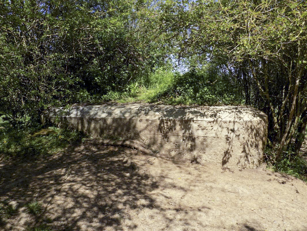 Ligne Maginot - 31TER - FOND DE LA CHAUSSEE EST - (Blockhaus pour canon) - Face droite - R Tucker
