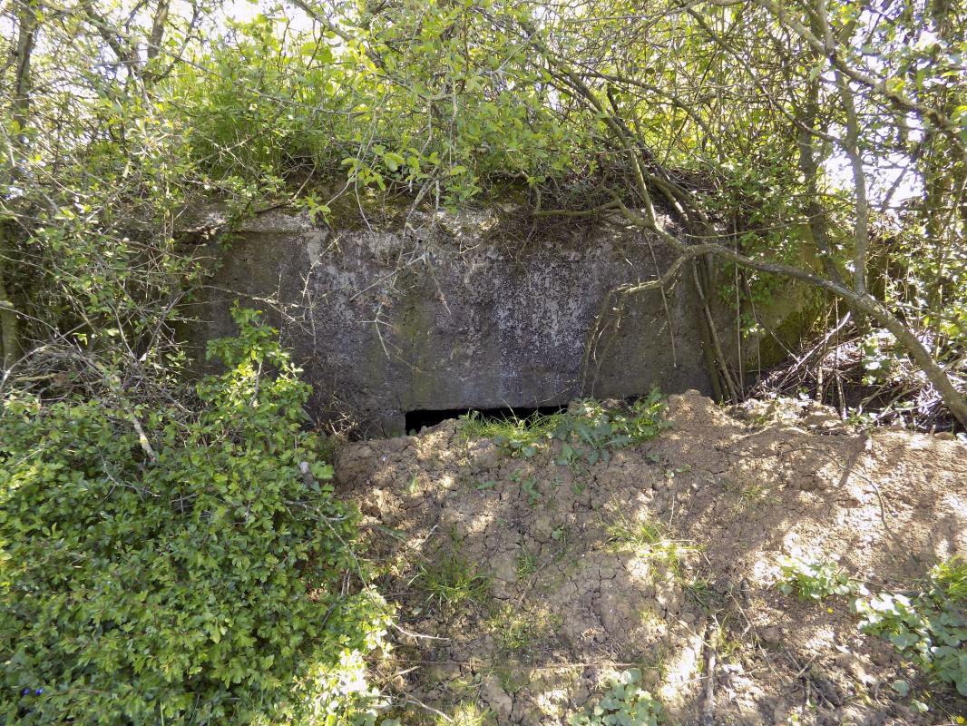 Ligne Maginot - 31TER - FOND DE LA CHAUSSEE EST - (Blockhaus pour canon) - L'arrière - R Tucker