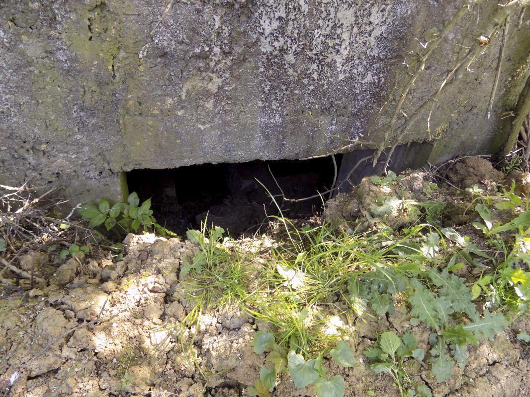Ligne Maginot - 31TER - FOND DE LA CHAUSSEE EST - (Blockhaus pour canon) - L'entrée AC - R Tucker