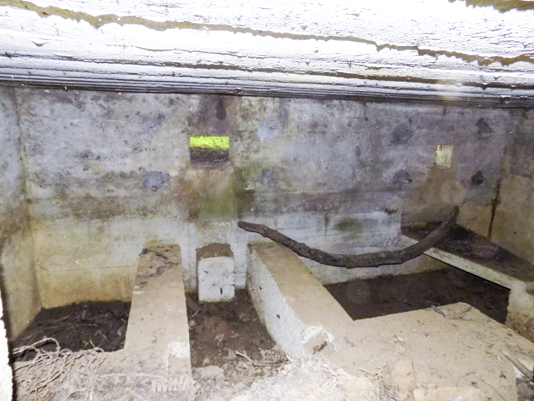 Ligne Maginot - 31TER - FOND DE LA CHAUSSEE EST - (Blockhaus pour canon) - Créneaux AC (centrale) et Hotchkiss (droite) - R Tucker