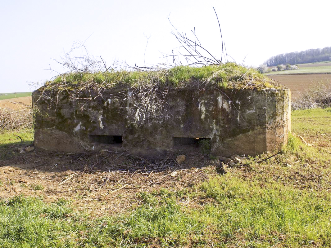 Ligne Maginot - 32A - RUISSEAU DU RIGEL - (Blockhaus pour arme infanterie) - Face frontale - R Tucker