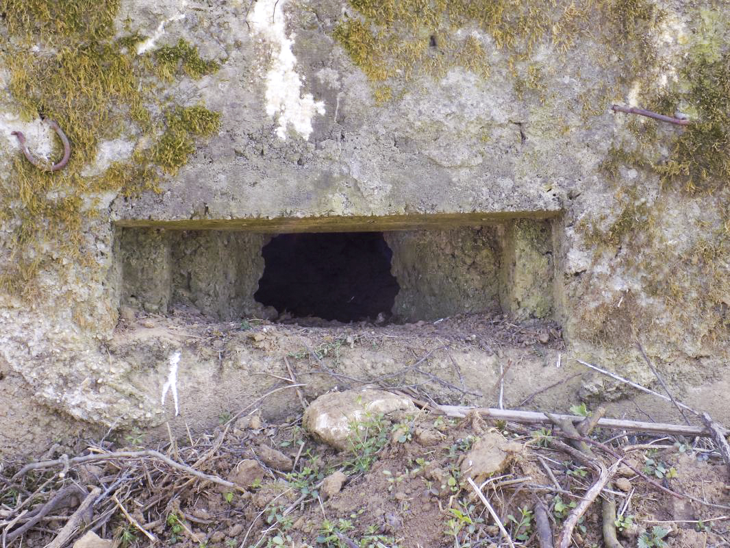 Ligne Maginot - 32A - RUISSEAU DU RIGEL - (Blockhaus pour arme infanterie) - Face frontale, créneau Hotchkiss gauche  - R Tucker