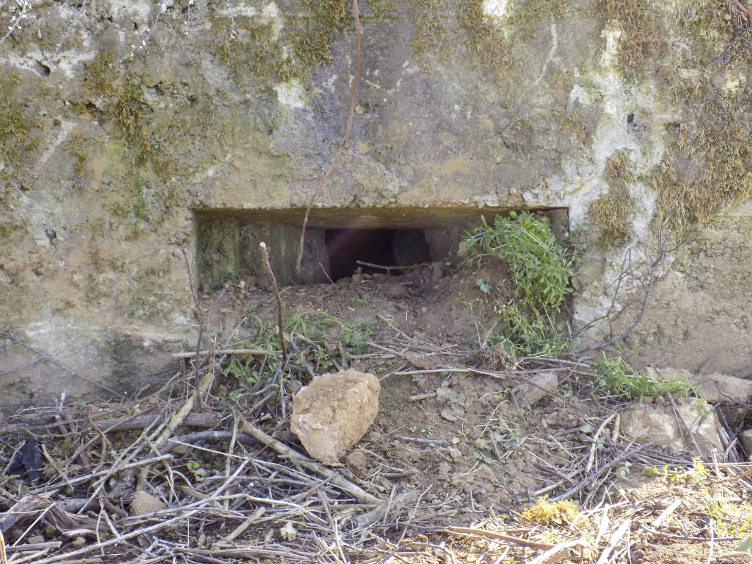 Ligne Maginot - 32A - RUISSEAU DU RIGEL - (Blockhaus pour arme infanterie) - Face frontale, créneau Hotchkiss droite - R Tucker