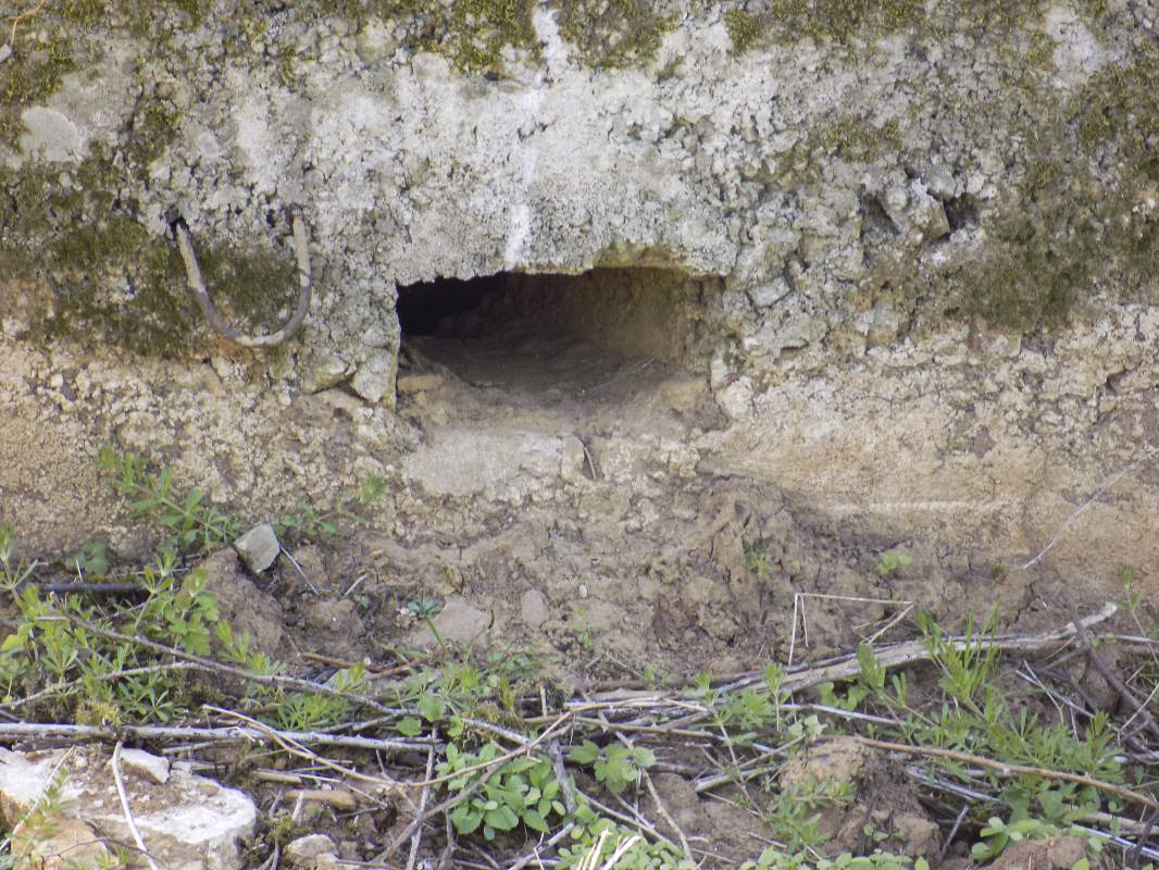 Ligne Maginot - 32A - RUISSEAU DU RIGEL - (Blockhaus pour arme infanterie) - Face droite, créneau Obs/FM - R Tucker